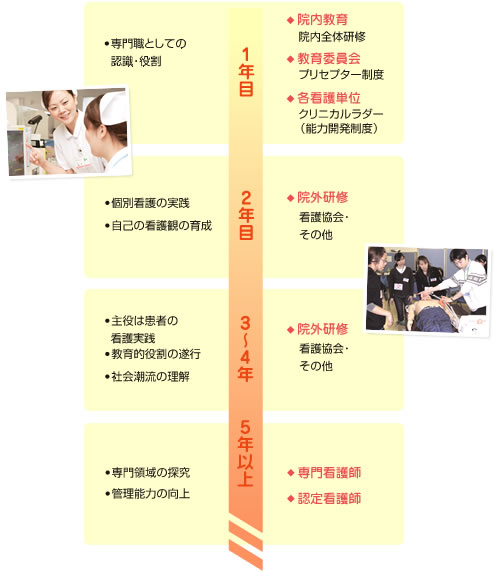 図:教育体制